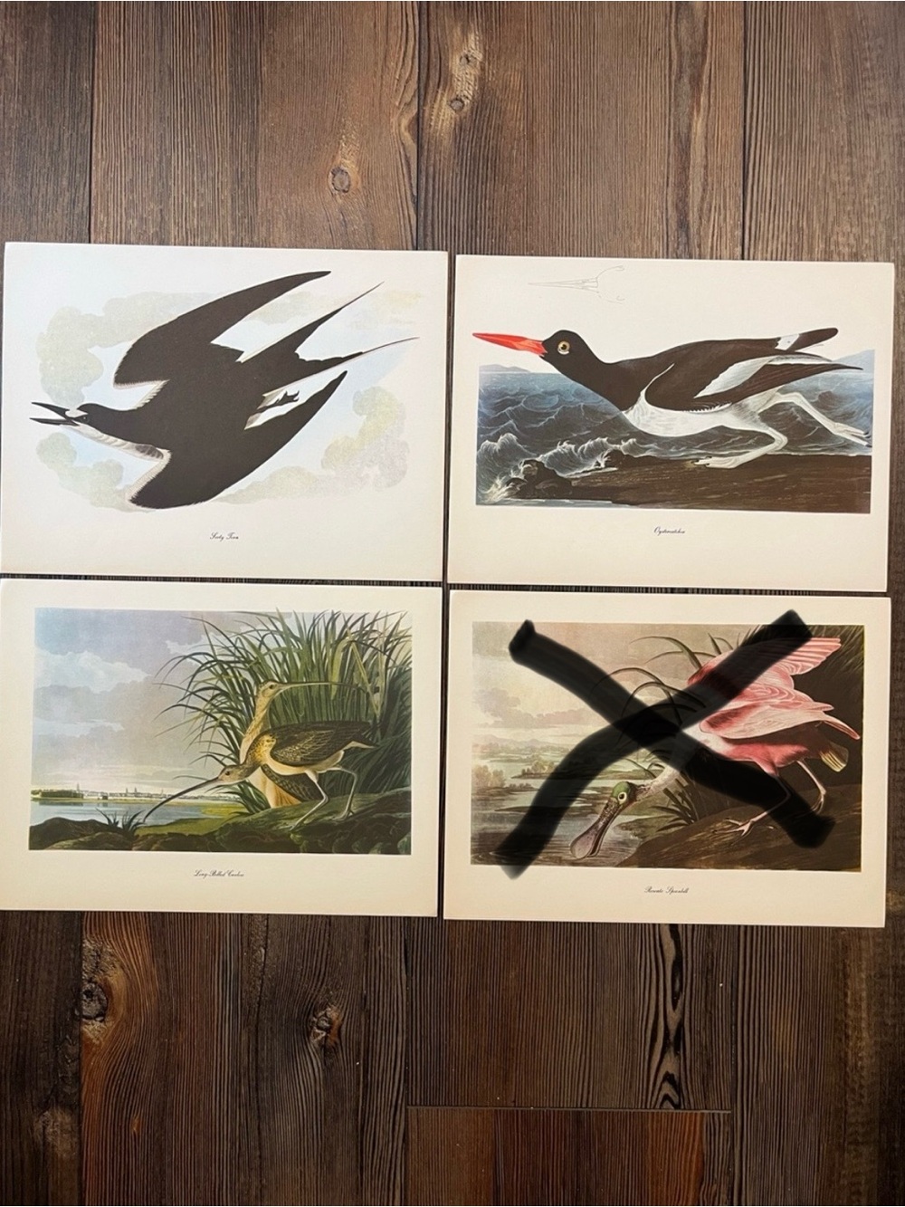 Audubon Birds Of America Prints (L9)